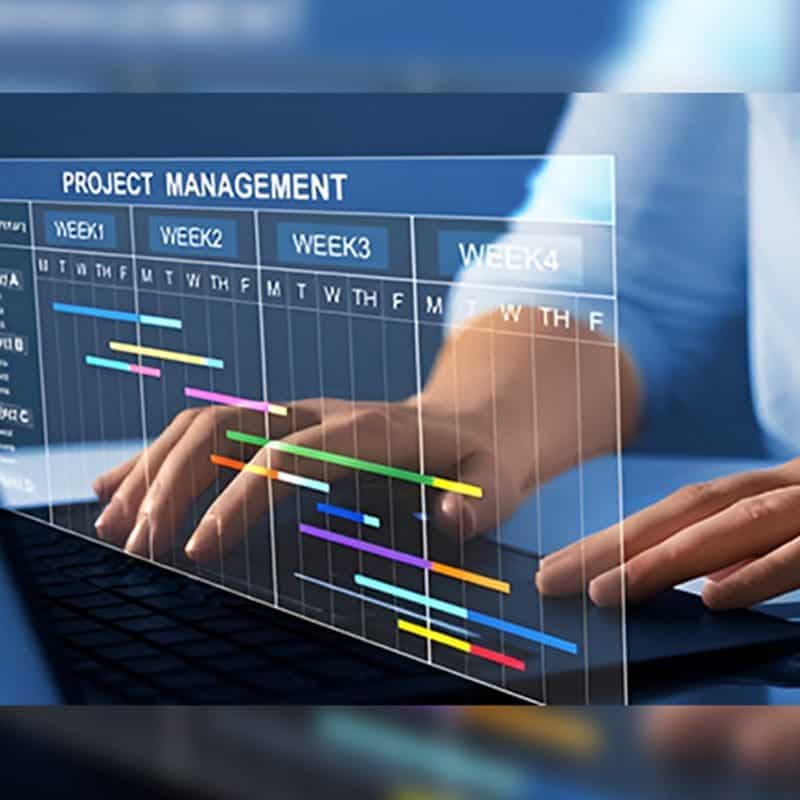 Project schedule on laptop — DBF Consulting project management services